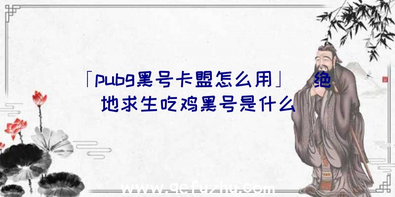 「pubg黑号卡盟怎么用」|绝地求生吃鸡黑号是什么